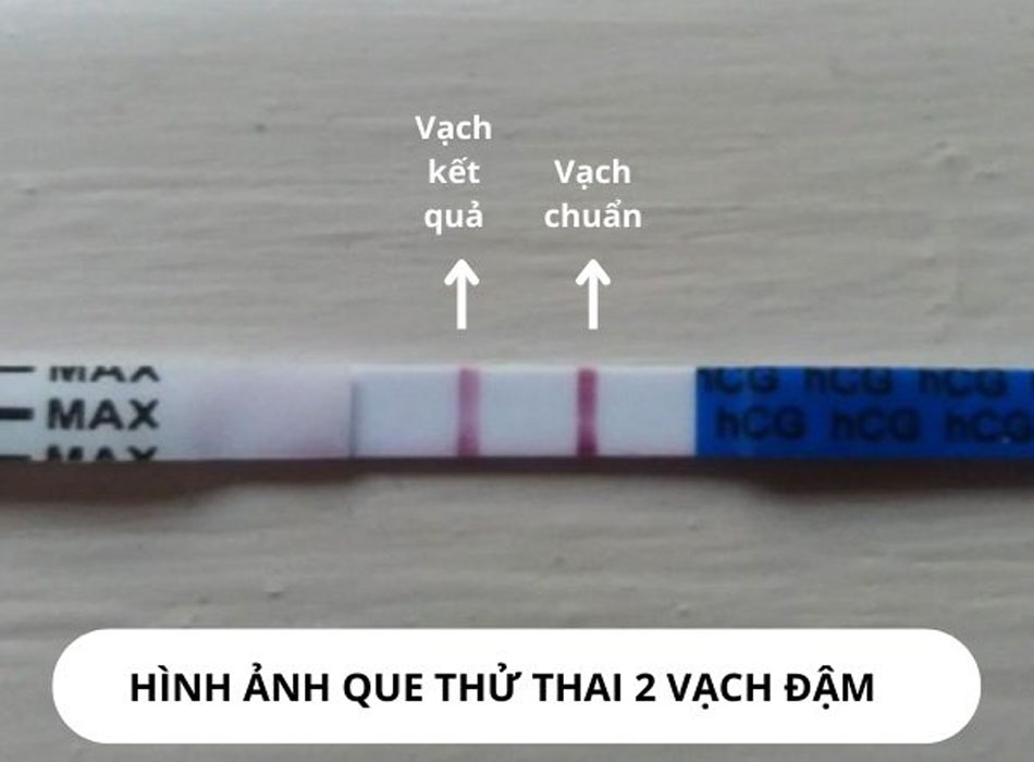 Que thử thai hiện 2 vạch đậm
